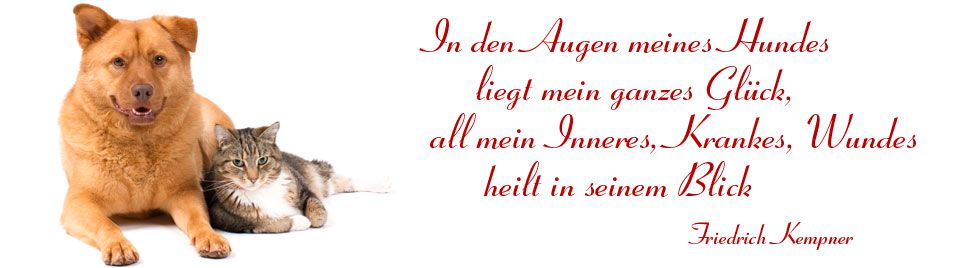 In den meines Hundes liegt mein ganzes Glück, all mein Inneres, Krankes, Wundes heilt in seinem Blick. Tierarzt in Osnabrück - Dr. Silke Andrews 