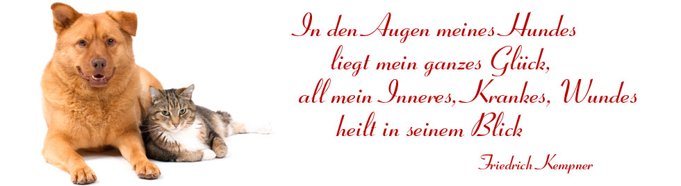 In den meines Hundes liegt mein ganzes Glück, all mein Inneres, Krankes, Wundes heilt in seinem Blick. Tierarzt in Osnabrück - Dr. Silke Andrews 