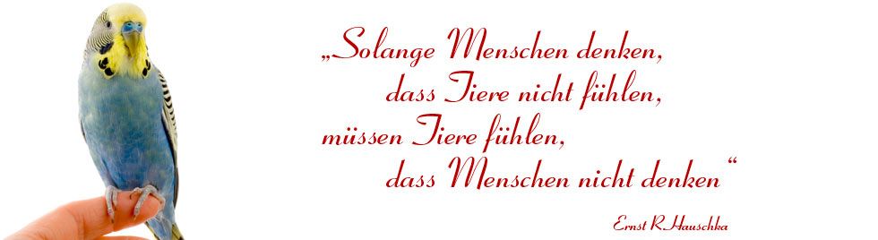 Solange Menschen denken, dass Tiere nicht fühlen, müssen Tiere fühlen, dass Menschen nicht denken. Tierarzt in Osnabrück - Dr. Silke Andrews 