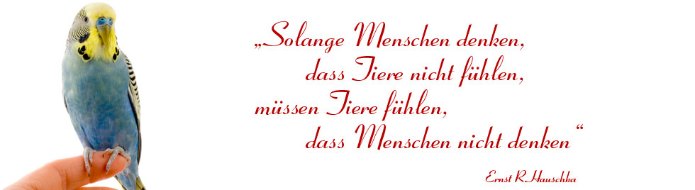 Solange Menschen denken, dass Tiere nicht fühlen, müssen Tiere fühlen, dass Menschen nicht denken. Tierarzt in Osnabrück - Dr. Silke Andrews 