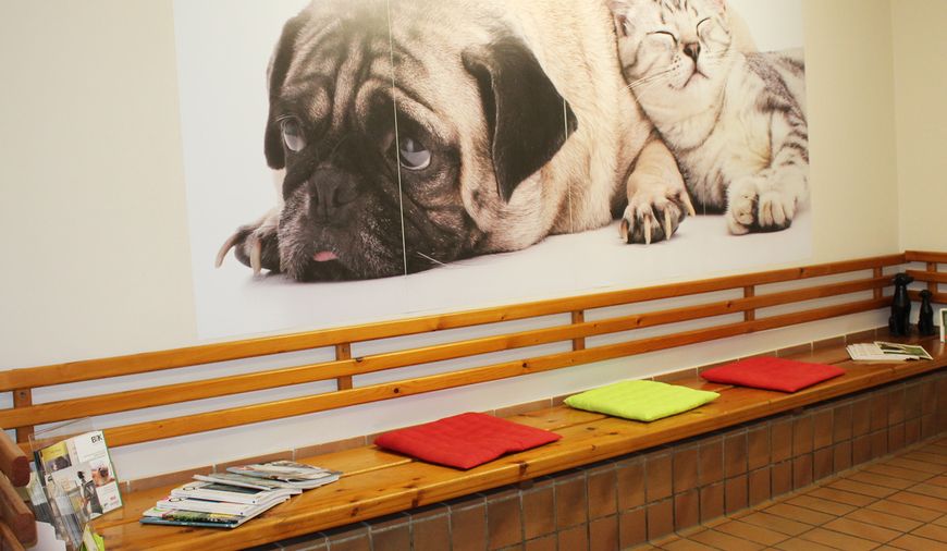 Wartezimmer / Einblicke in unsere Tierarztpraxis in Osnabrück