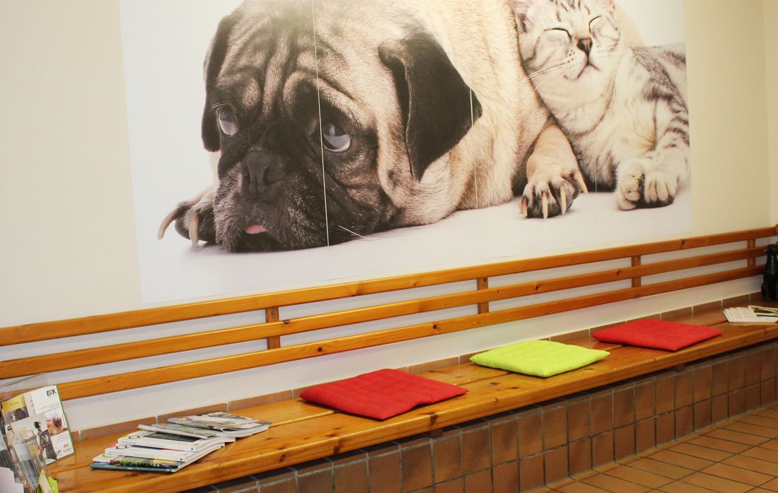Wartezimmer / Einblicke in unsere Tierarztpraxis in Osnabrück