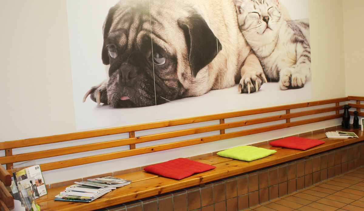 Wartezimmer / Einblicke in unsere Tierarztpraxis in Osnabrück