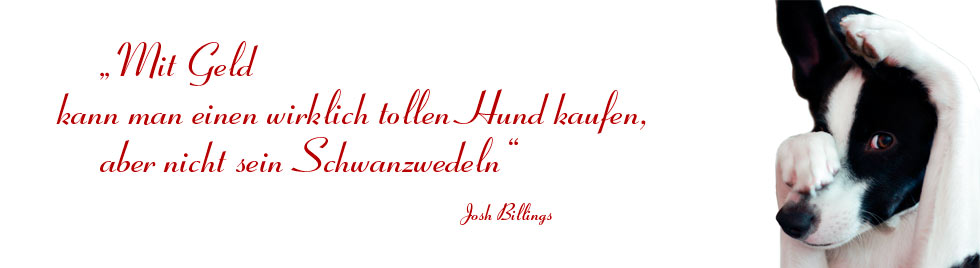 Mit Geld kann man einen wirklich tollen Hund kaufen, aber nicht sein Schwanzwedeln. - Dr. Silke Andrews Tierarztpraxis