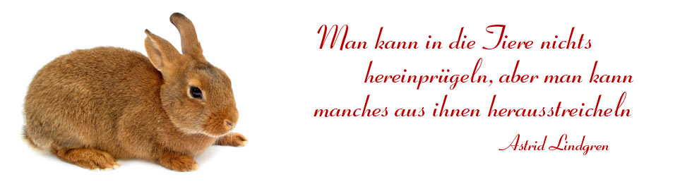 Man kann in die Tiere nichts hereinprügeln, aber man kann manches aus ihnen herausstreicheln.