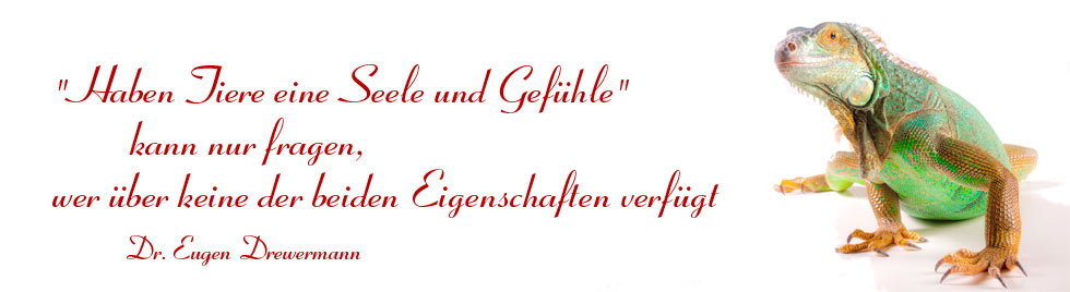 Haben Tiere eine Seele und Gefühle kann nur fragen, wer über keine der beiden Eigenschaften verfügt.