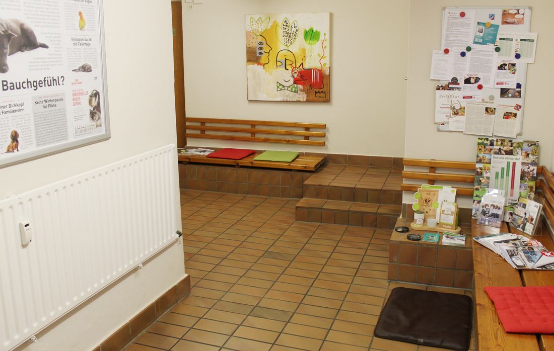 Wartezimmer / Einblicke in unsere Tierarztpraxis in Osnabrück